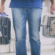 Travel with Pets