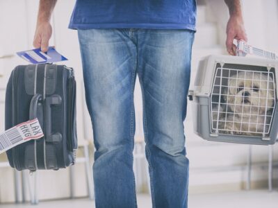 Travel with Pets